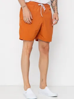 Santa Cruz Classic Dot Shorts