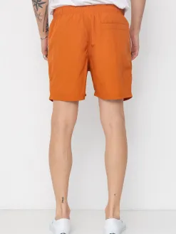 Santa Cruz Classic Dot Shorts