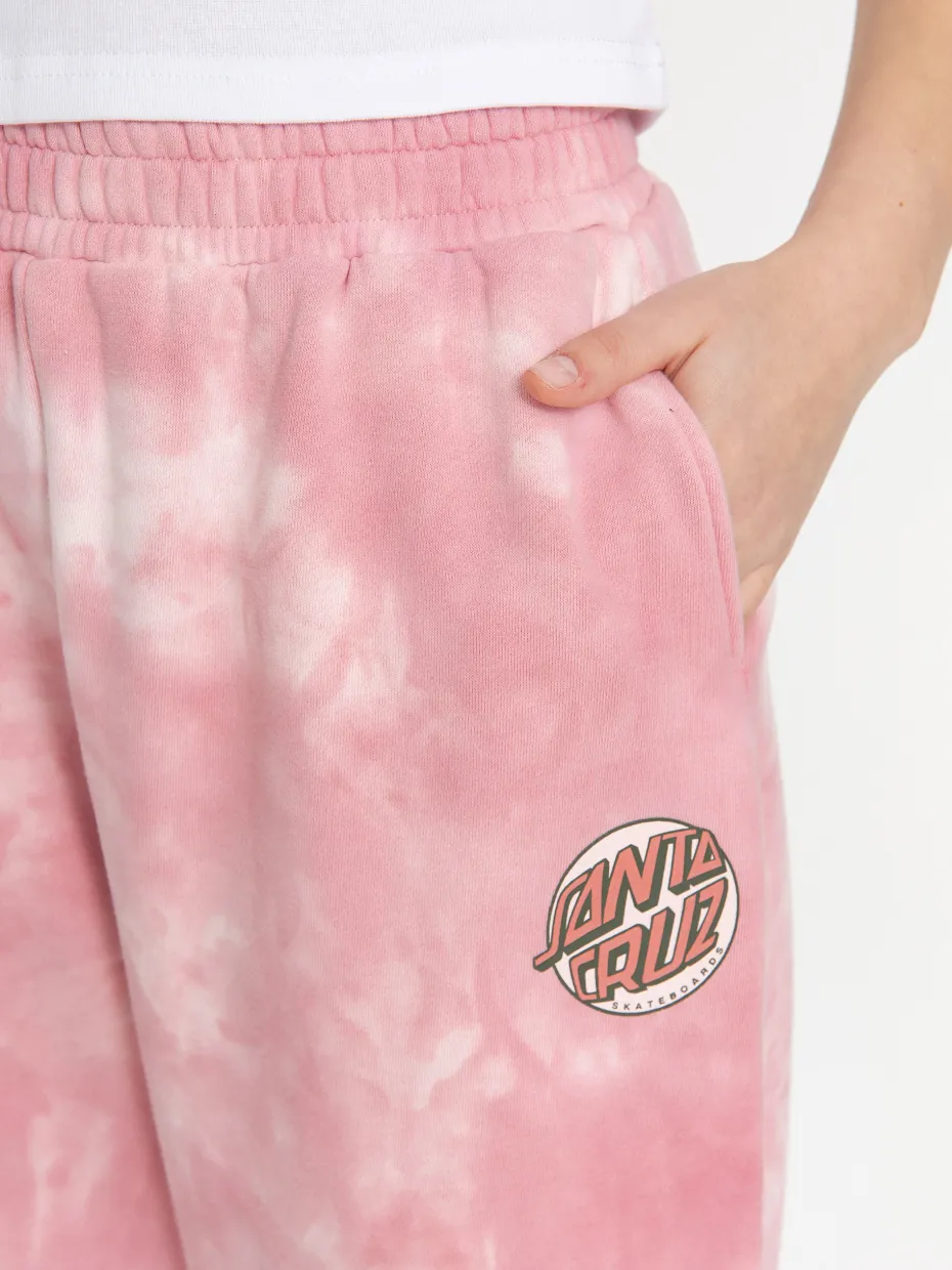 Santa Cruz Pants Sage Floral Sweatpant Wmn
