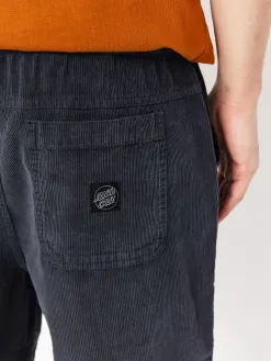 Santa Cruz Shorts Chill