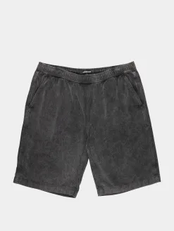 Santa Cruz Shorts Chill