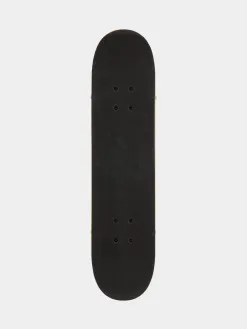 Speed Demons Skateboard Disco