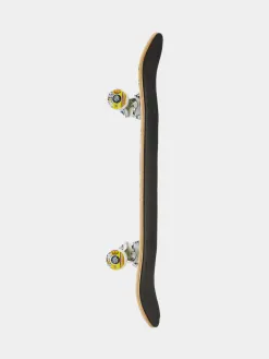 Speed Demons Skateboard Disco