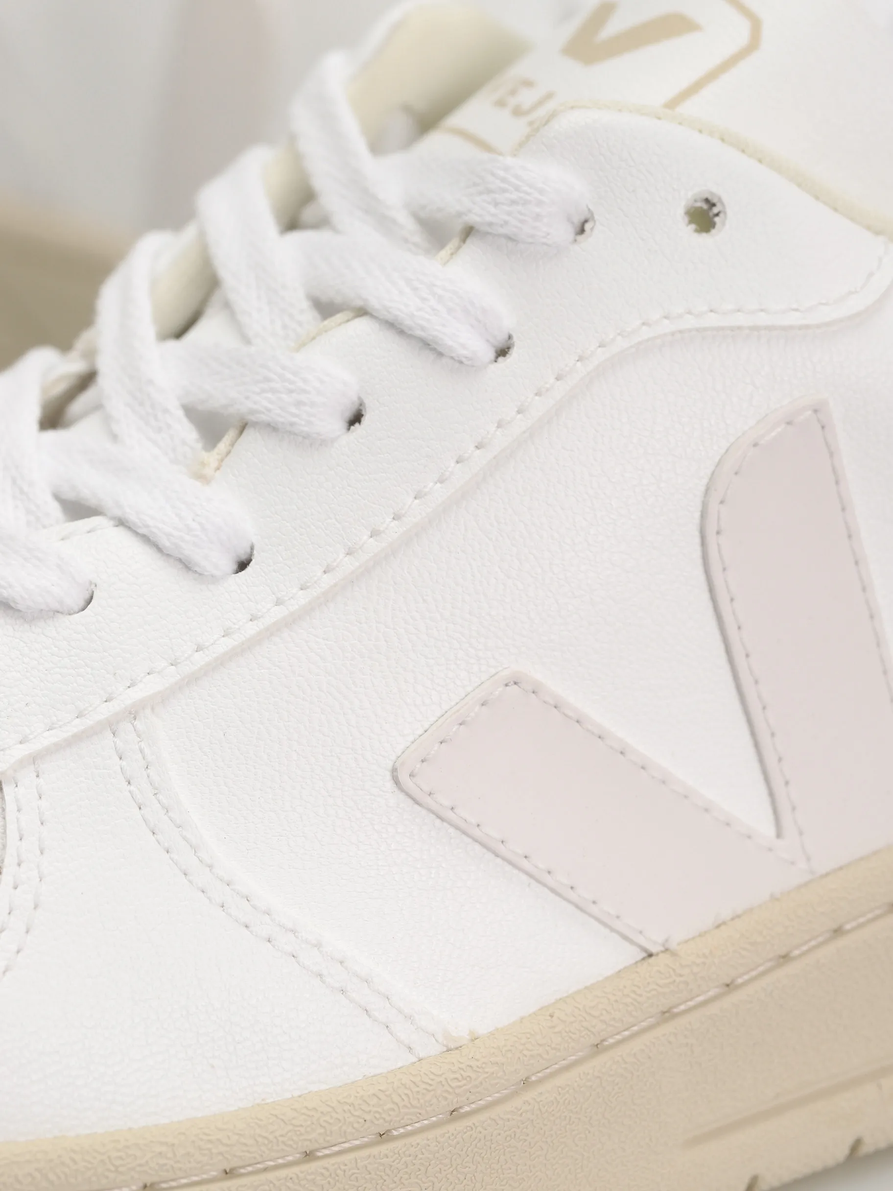Veja V-10 Shoes