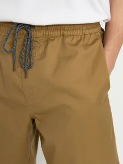 Volcom Frickin Ew 19 Shorts