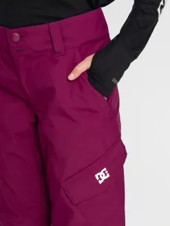 Womens DC Nonchalant Snowboard pants