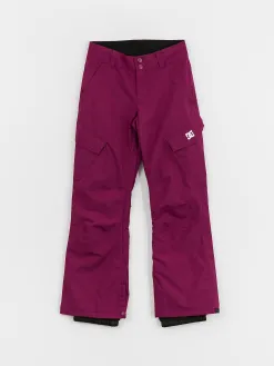 Womens DC Nonchalant Snowboard pants