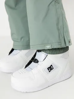 Womens Roxy Backyard Snowboard pants