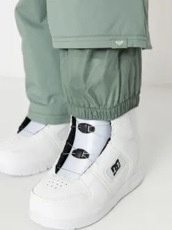 Womens Roxy Backyard Snowboard pants