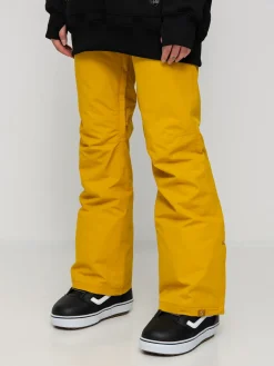 Womens Roxy Backyard Snowboard pants