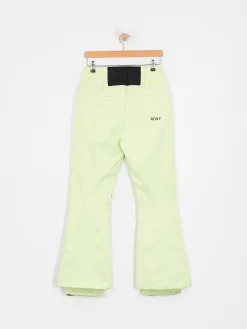 Womens Roxy Diversion Snowboard pants